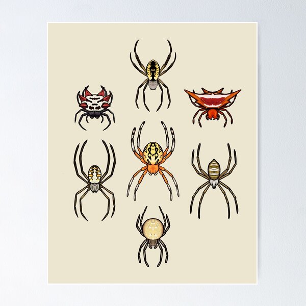 Item preview, Orb Weavers designed and sold by dart frog.