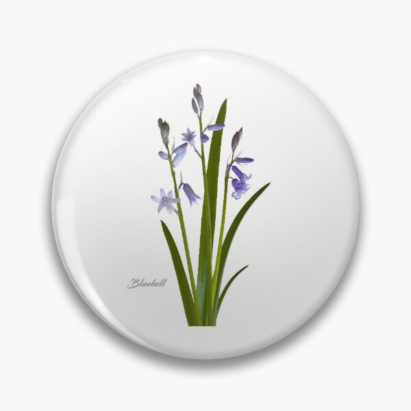 Item preview, Bluebell designed and sold by andrewroland.