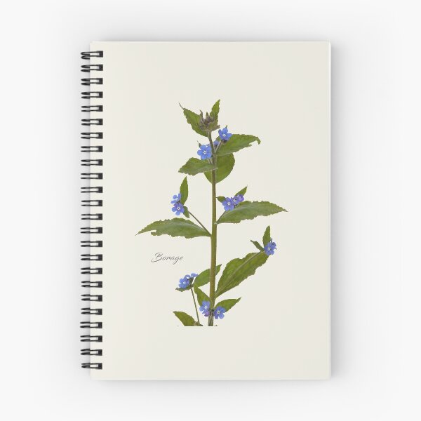 Item preview, Borage designed and sold by andrewroland.