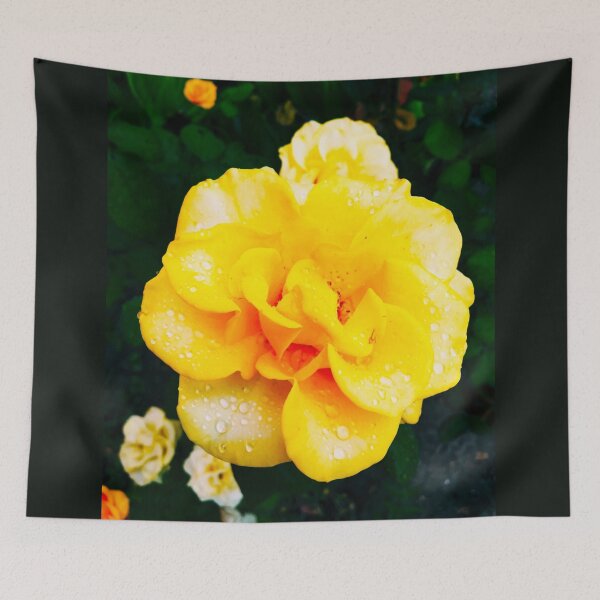 Item preview, Tender yellow rose after the rain covered with drops  designed and sold by helenkaiy.