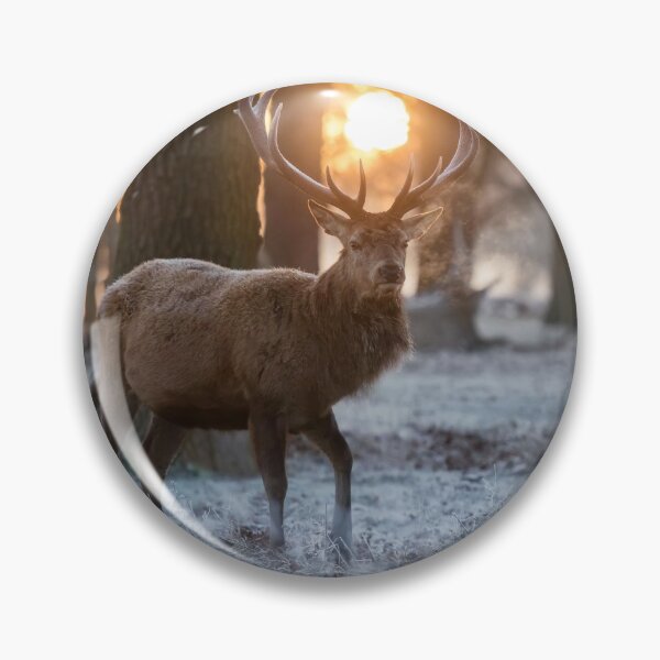 Item preview, Winterland designed and sold by Junkyardmax.