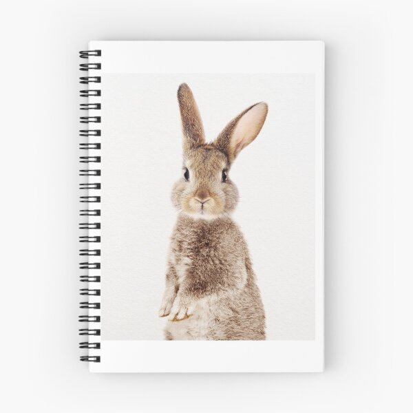 Item preview, Baby Rabbit, Standing Brown Bunny, Baby Animals Art Print by Synplus designed and sold by synplus.