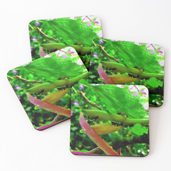 Item preview, Wonderful nature designed and sold by DamithArts.