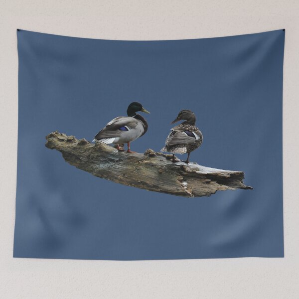 Item preview, Male and Female Mallard Ducks Photograph designed and sold by Robert Link.