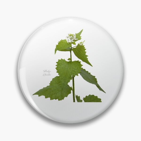 Item preview, Hedge Garlic designed and sold by andrewroland.