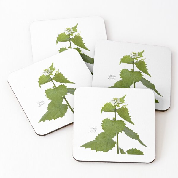 Item preview, Hedge Garlic designed and sold by andrewroland.