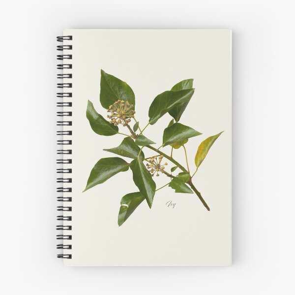 Item preview, Ivy designed and sold by andrewroland.