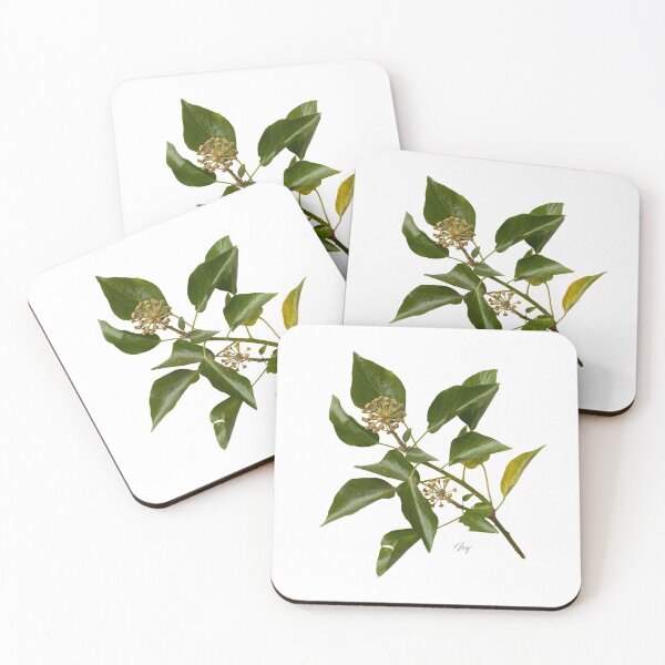 Item preview, Ivy designed and sold by andrewroland.