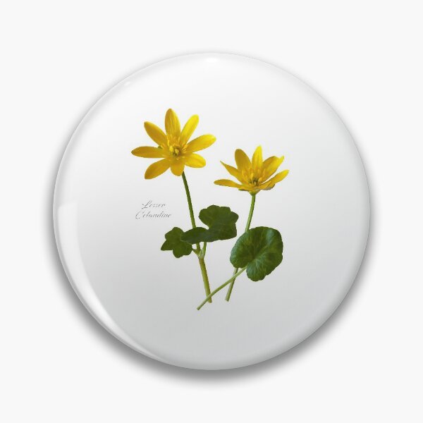 Item preview, Lesser Celandine designed and sold by andrewroland.
