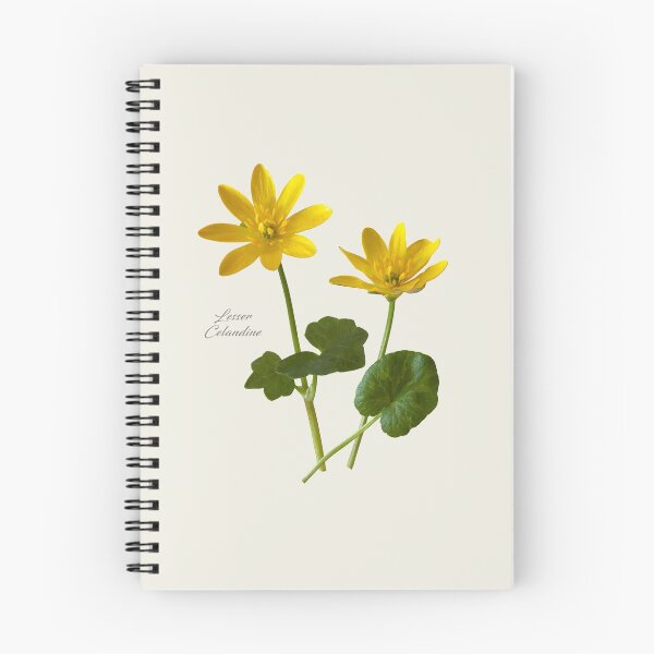 Item preview, Lesser Celandine designed and sold by andrewroland.