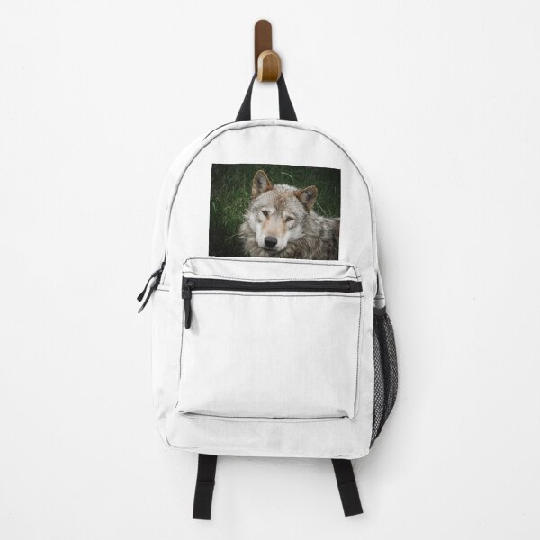 Item preview, Wolf Portrait - Animals and Nature Photography designed and sold by Dan Shachar.