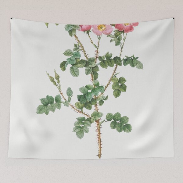 Item preview, Les Roses by Pierre-Joseph Redouté designed and sold by EsotericBotanic.