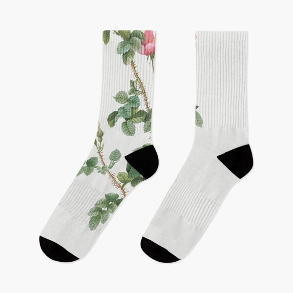 Item preview, Les Roses by Pierre-Joseph Redouté designed and sold by EsotericBotanic.