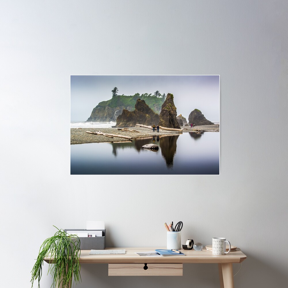 Olympic NP Beach 05 21 15 7218 Poster