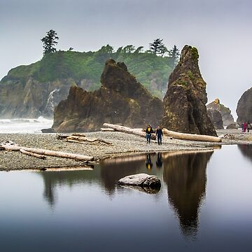 Artwork thumbnail, Olympic NP Beach 05 21 15 7218 by jwwalter
