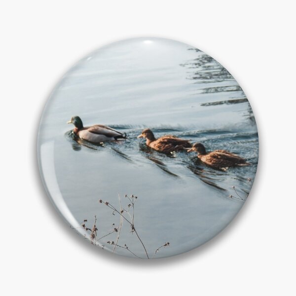 Item preview, Familia de patos salvajes en el agua del lago - Fotografía de naturaleza designed and sold by Dan Shachar.