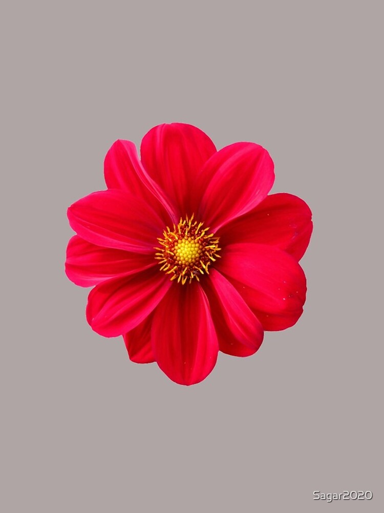 Thumbnail 4 of 4, iPhone Case, Flower designed and sold by Sagar2020.