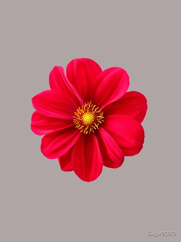 Thumbnail 4 of 4, iPhone Case, Flower designed and sold by Sagar2020.