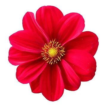 Artwork thumbnail, Flower by Sagar2020