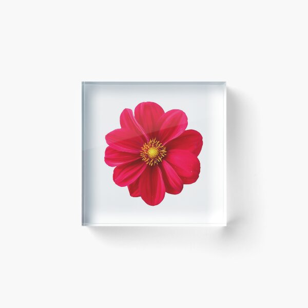 Item preview, Flower designed and sold by Sagar2020.
