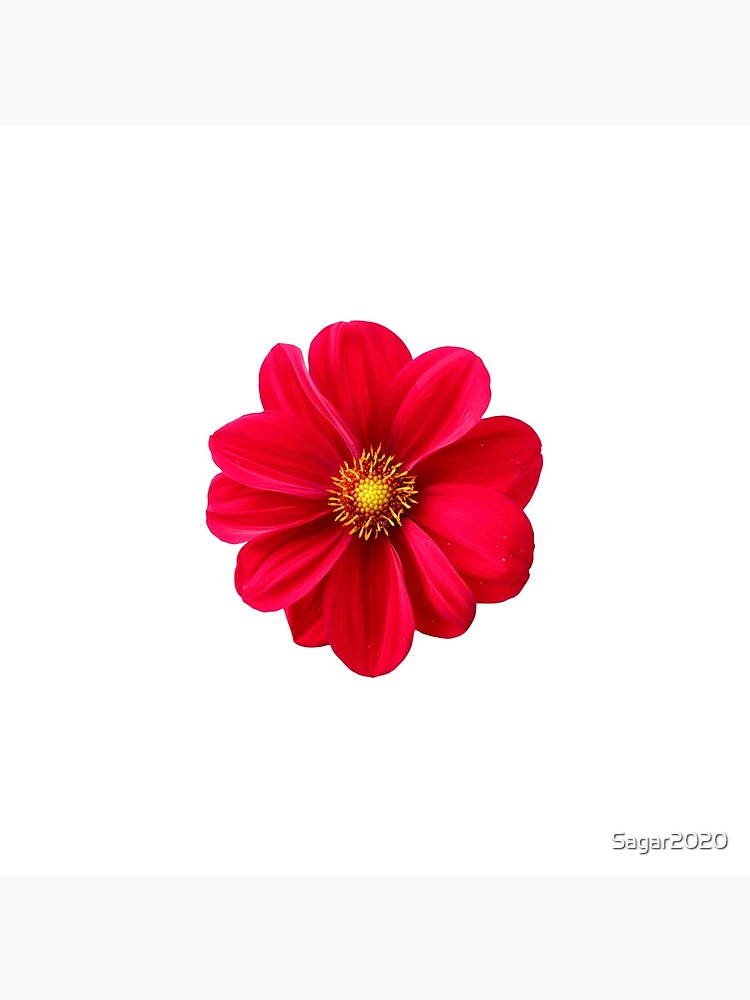 Thumbnail 4 of 4, Clock, Flower designed and sold by Sagar2020.
