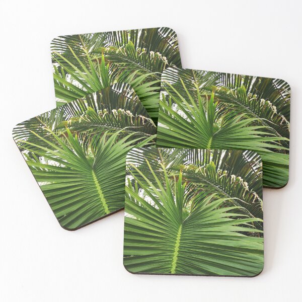Item preview, Tropical Palm Tree Leaves, Island Vibes, Exotic Jungle, Tropical Aesthetics, Palm leaf designed and sold by whatisonmymind.