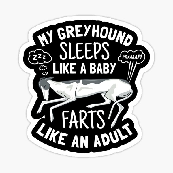 Greyhound Sleeps Like Baby Farts Like Adult - Funny Dog Owner Gift Sticker