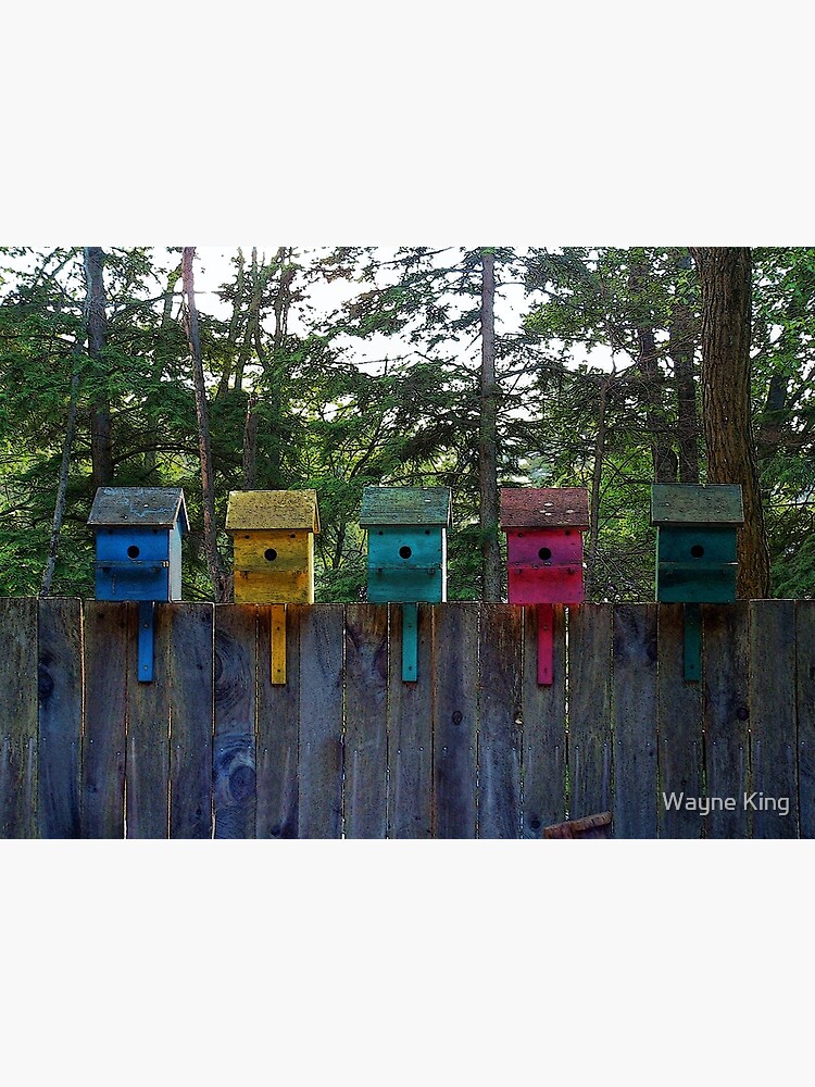 Birdhouse Blues by waynedking