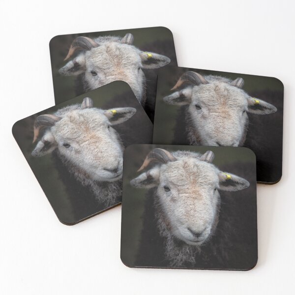 Item preview, Young Herdwick ram designed and sold by Phil Buckle.