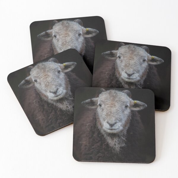 Item preview, A young Herdwick Ram designed and sold by Phil Buckle.
