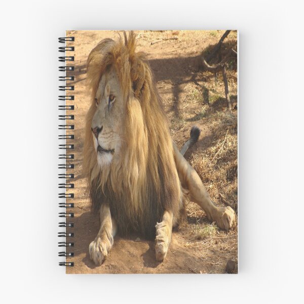 Item preview, BIG LOUNGING LION designed and sold by CUTESTUFFnow.