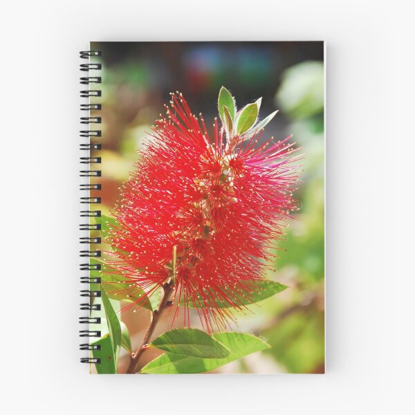 Item preview, Bottlebrush Flower designed and sold by jojobob.