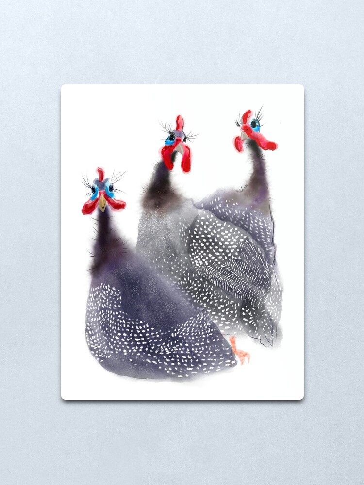 Lámina metálica «Pandilla de tres aves gallinas de Guinea» de orangerinka | Redbubble Lámina metálica «Pandilla de tres aves gallinas de Guinea» de orangerinka | Redbubble