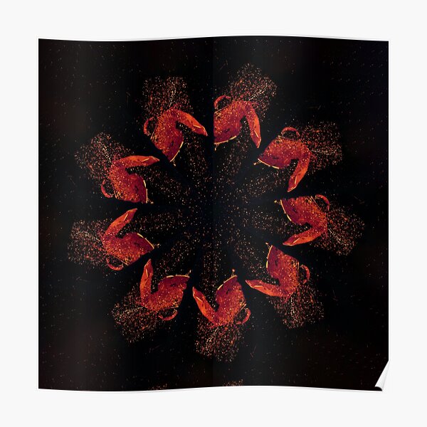 WDVMM - 1047 - Coin Return Mandala 1 Mandala 2 Poster