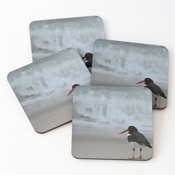 Item preview, Oystercatcher designed and sold by DonnaM.