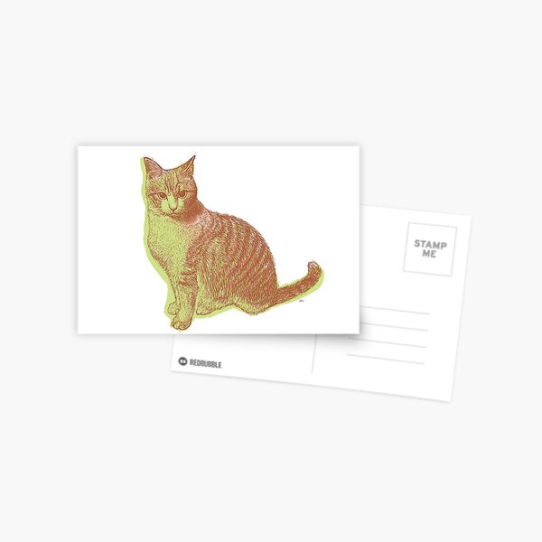 Cat Postcard