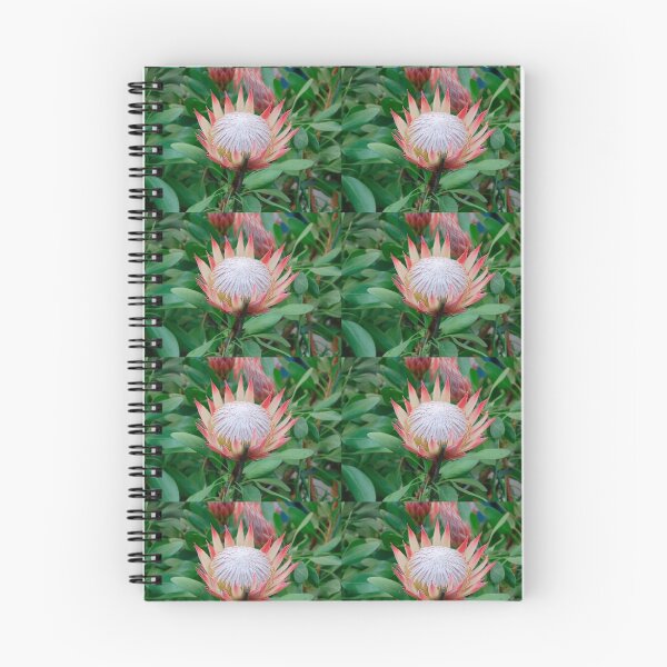 Item preview, Protea Cynaroides Flower designed and sold by jojobob.