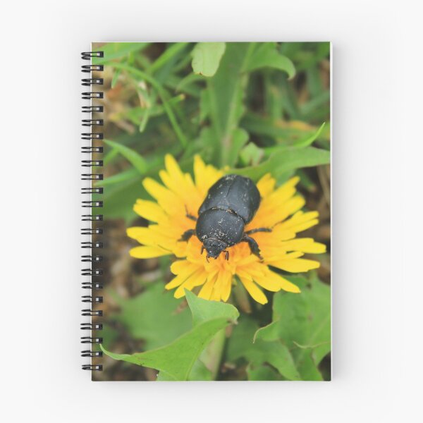 Item preview, Beetle on a Dandelion designed and sold by rhamm.
