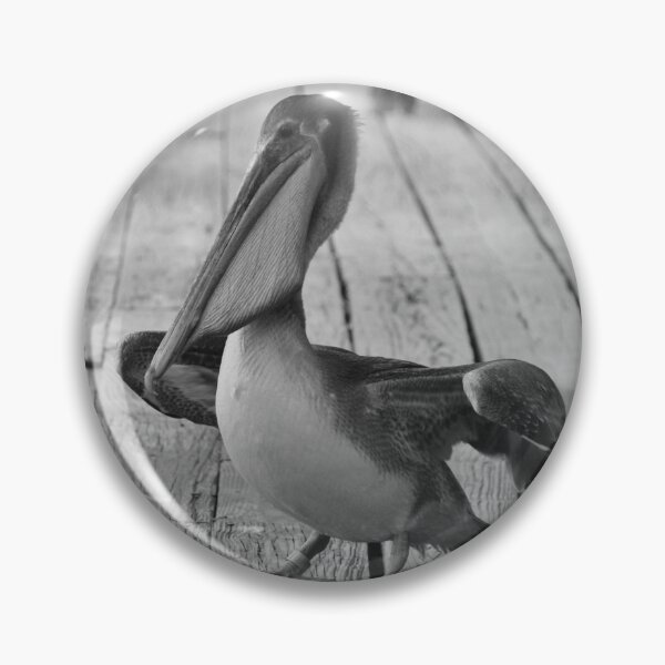 Item preview, Juvenile Brown Pelican Tale 9 designed and sold by Cynthia48.