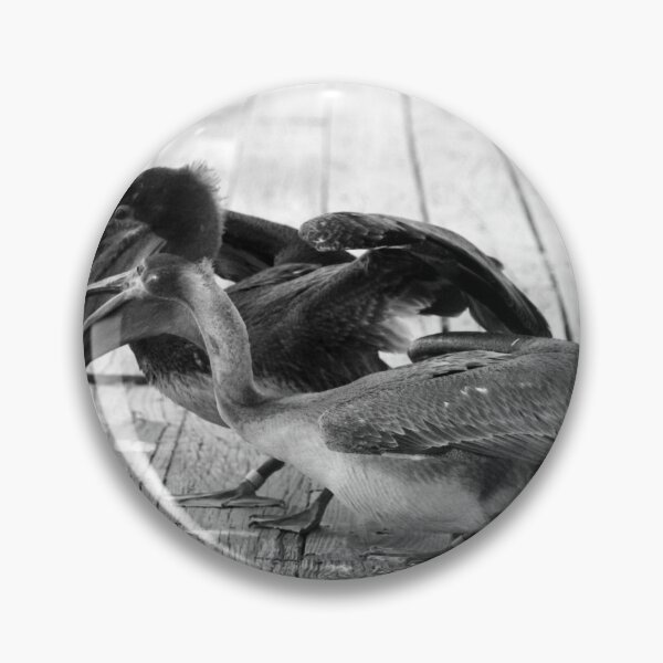 Item preview, Juvenile Brown Pelican Tale 8 designed and sold by Cynthia48.