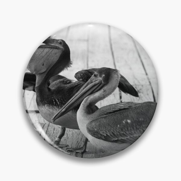 Item preview, Juvenile Brown Pelican Tale 5 designed and sold by Cynthia48.