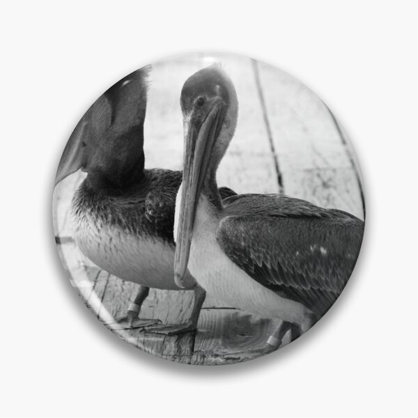 Item preview, Juvenile Brown Pelican Tale 4 designed and sold by Cynthia48.
