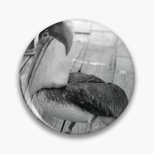 Item preview, Juvenile Brown Pelican Tale 2 designed and sold by Cynthia48.