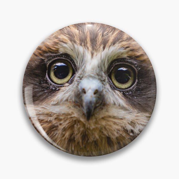 Item preview, Bilbo the Boobook owl designed and sold by Dalyndigital Photography.