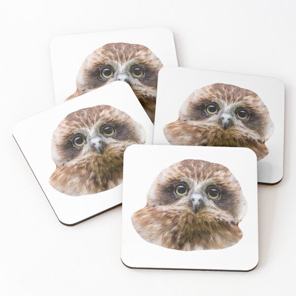 Item preview, Bilbo the Boobook owl designed and sold by Dalyndigital Photography.