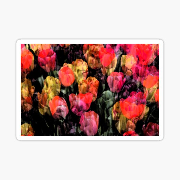 Tulip Garden Sticker