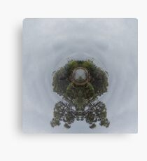 Lienzo Alien Ladscape