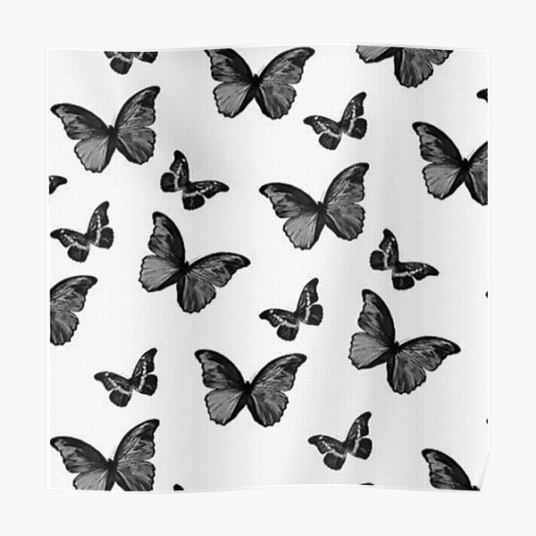 "Black and White Butterfly" Poster by Zetsmo Redbubble