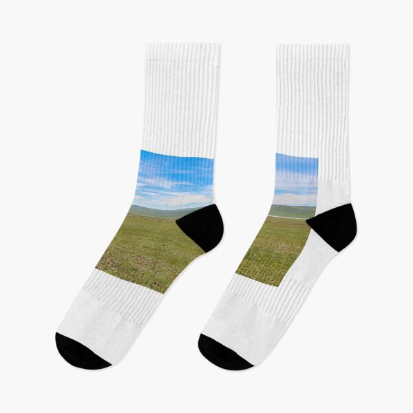 Item preview, A female mongolian herder, herding cattle on the grassland by horse designed and sold by SnapTPhotograph.