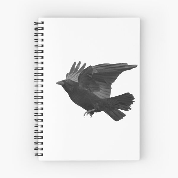 Item preview, A Crow about to fly designed and sold by Sara Sadler.
